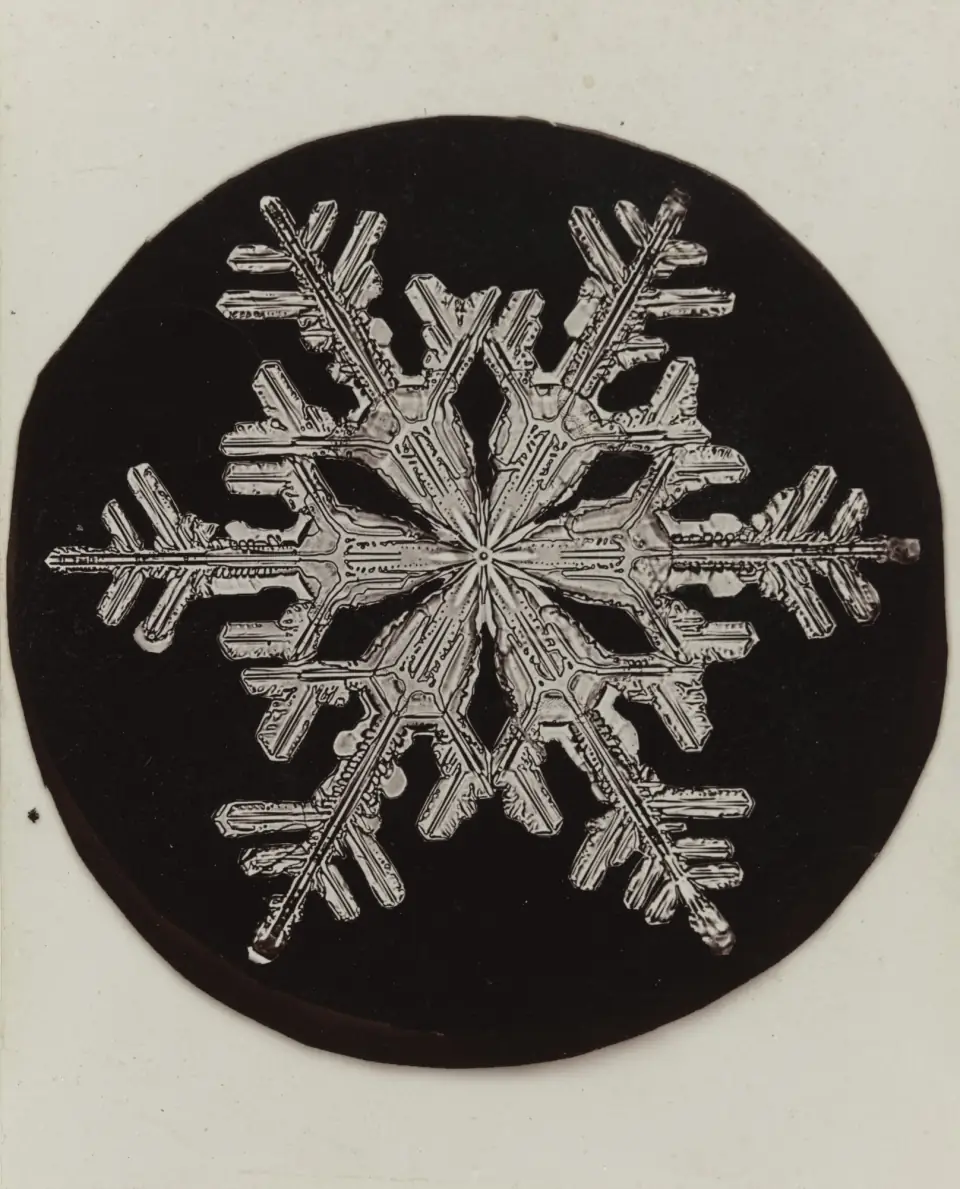 A Wilson Bentley photomicrograph of a single snowflake, a perfect six-armed crystal glowing against black.