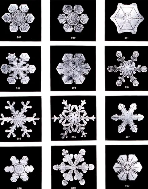 A grid plate of many different Bentley snowflake photographs.