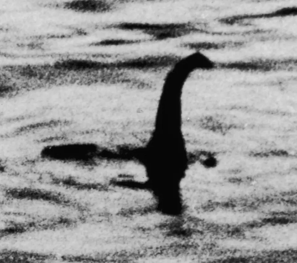 The 1934 Surgeon's Photograph: a grainy long neck and small head rising from the rippled water of Loch Ness.