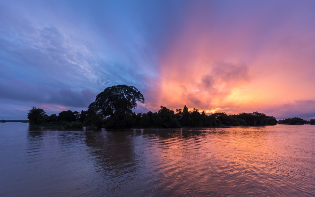 The black silhouette of a single broad tree on an island at dusk, against a pink and blue sky over still water.