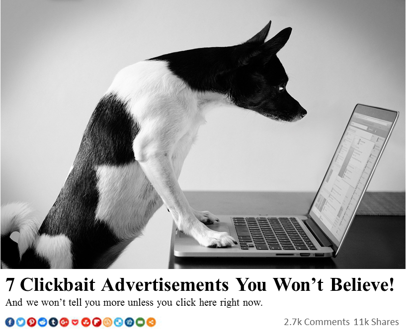 An illustrative clickbait ad: a dog peering at a laptop, captioned '7 Clickbait Advertisements You Won't Believe! And we won't tell you more unless you click here right now.'