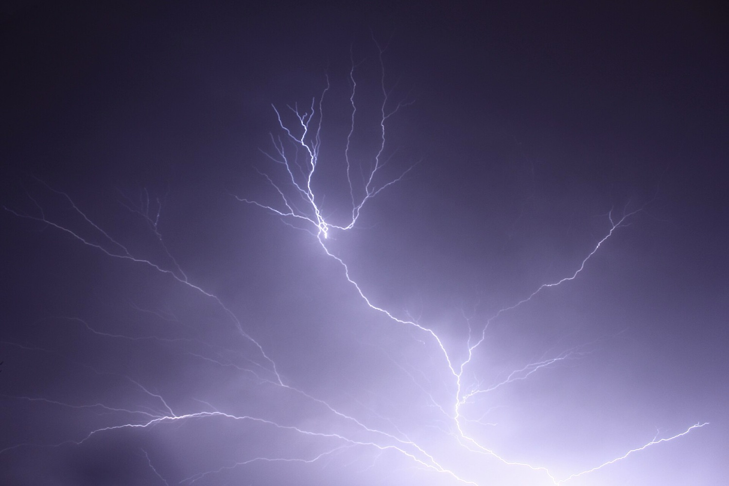 A vast, intricately branching bolt of lightning spidering across a deep violet night sky.