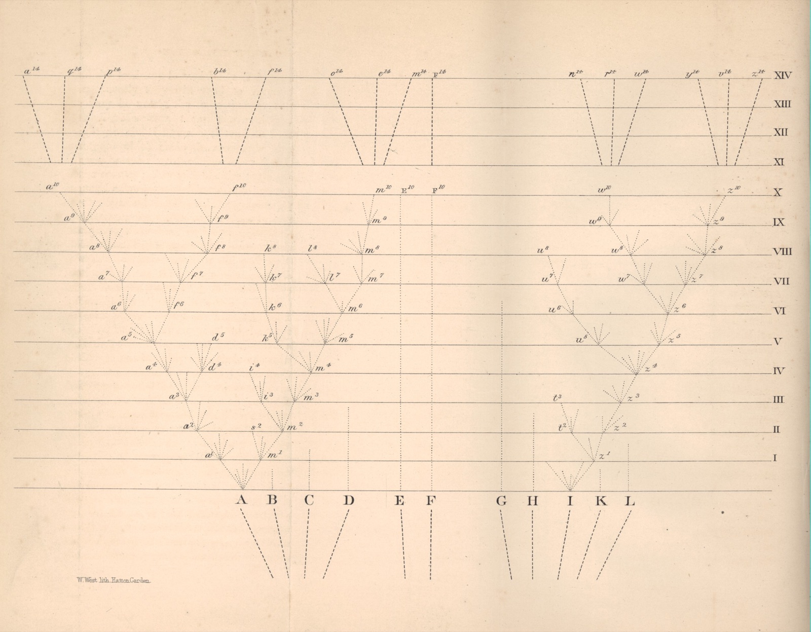 Darwin's tree-of-life diagram from the 1859 first edition: faint dotted lines rise from species labelled A to L along the bottom and repeatedly fork as they climb fourteen numbered horizontal levels marked I to XIV. Many lines stop partway up; only a few reach the top.