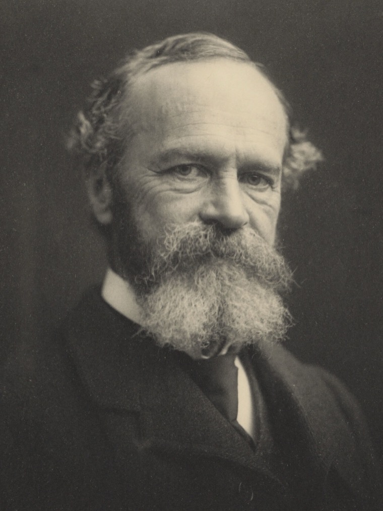 William James in 1903, a man with a high balding forehead and a full grey beard, in a dark coat, looking steadily and a little warmly at the camera.