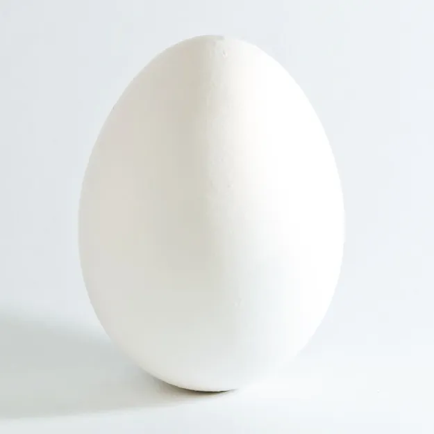 A single plain white chicken egg on a white background.